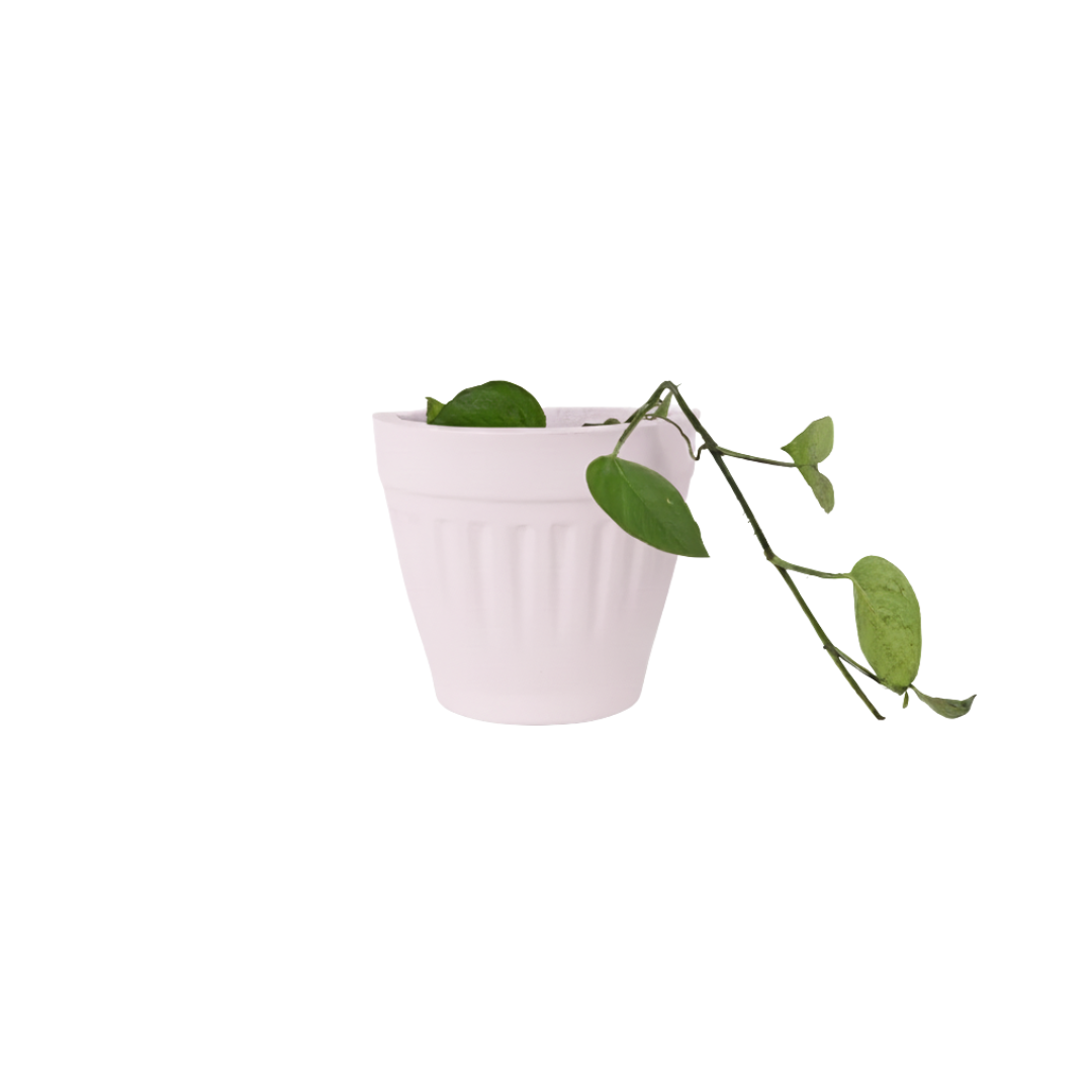 DuoNest Planter