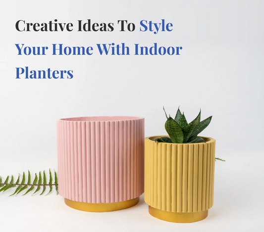 Creative Ideas to Style Your Home with Indoor Planters
