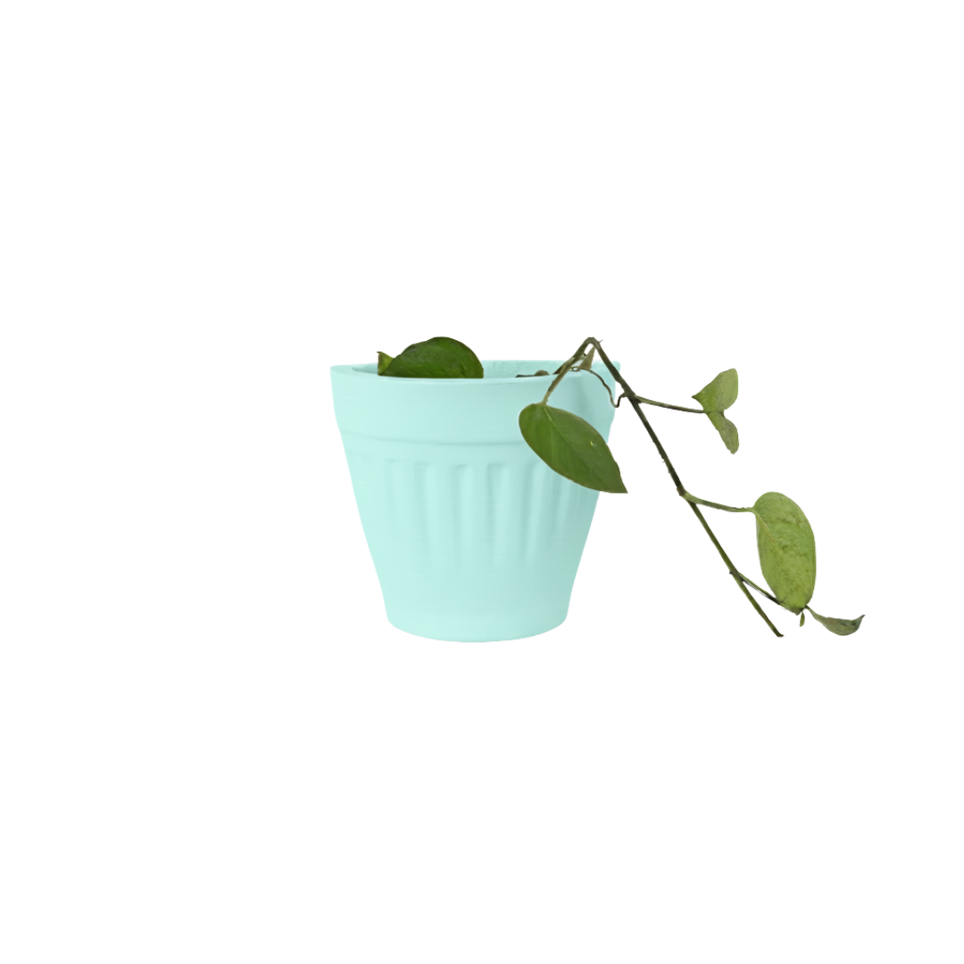 DuoNest Planter