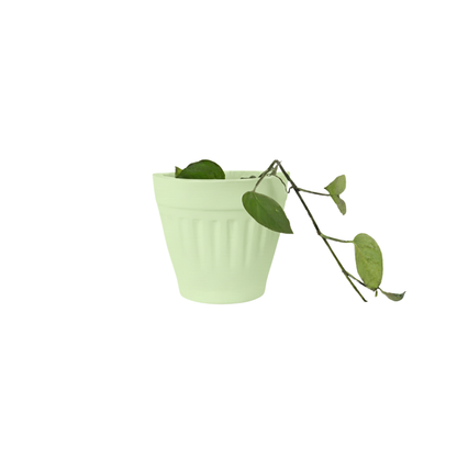 DuoNest Planter