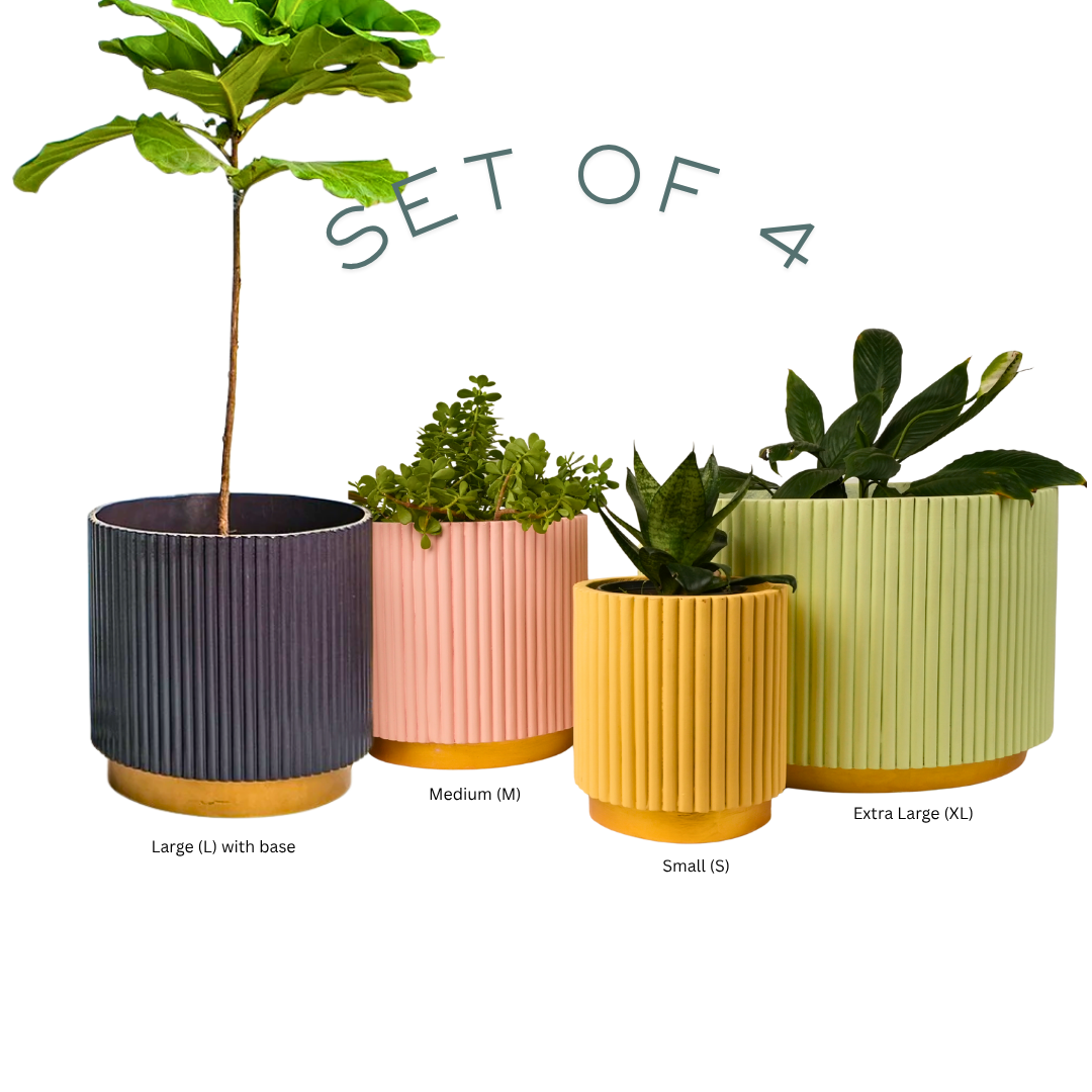 Nova Sphere Set of 4 (Large Planter with Base)