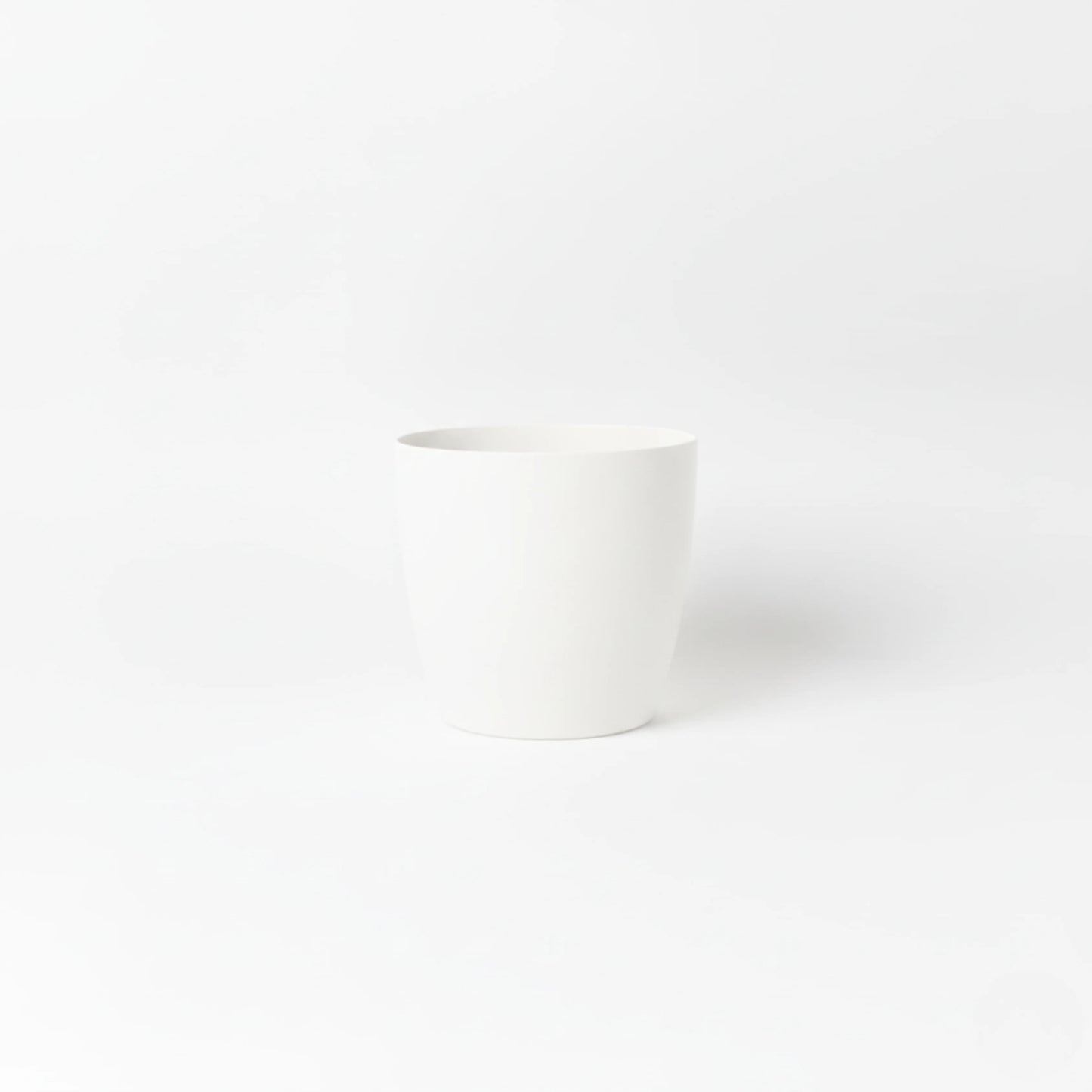 Stria Small