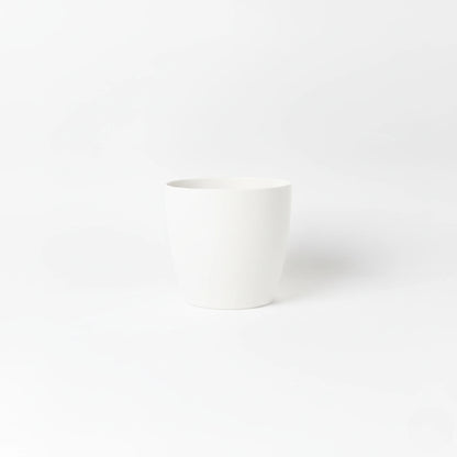 Stria Small