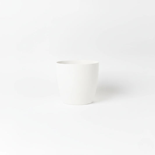 Stria Medium