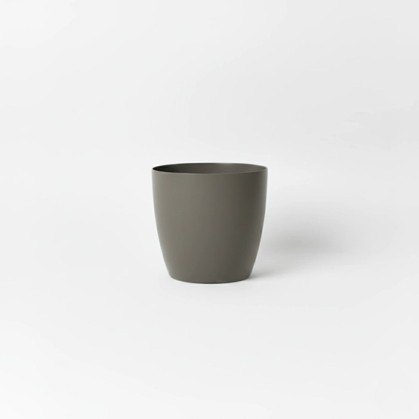 Stria Small