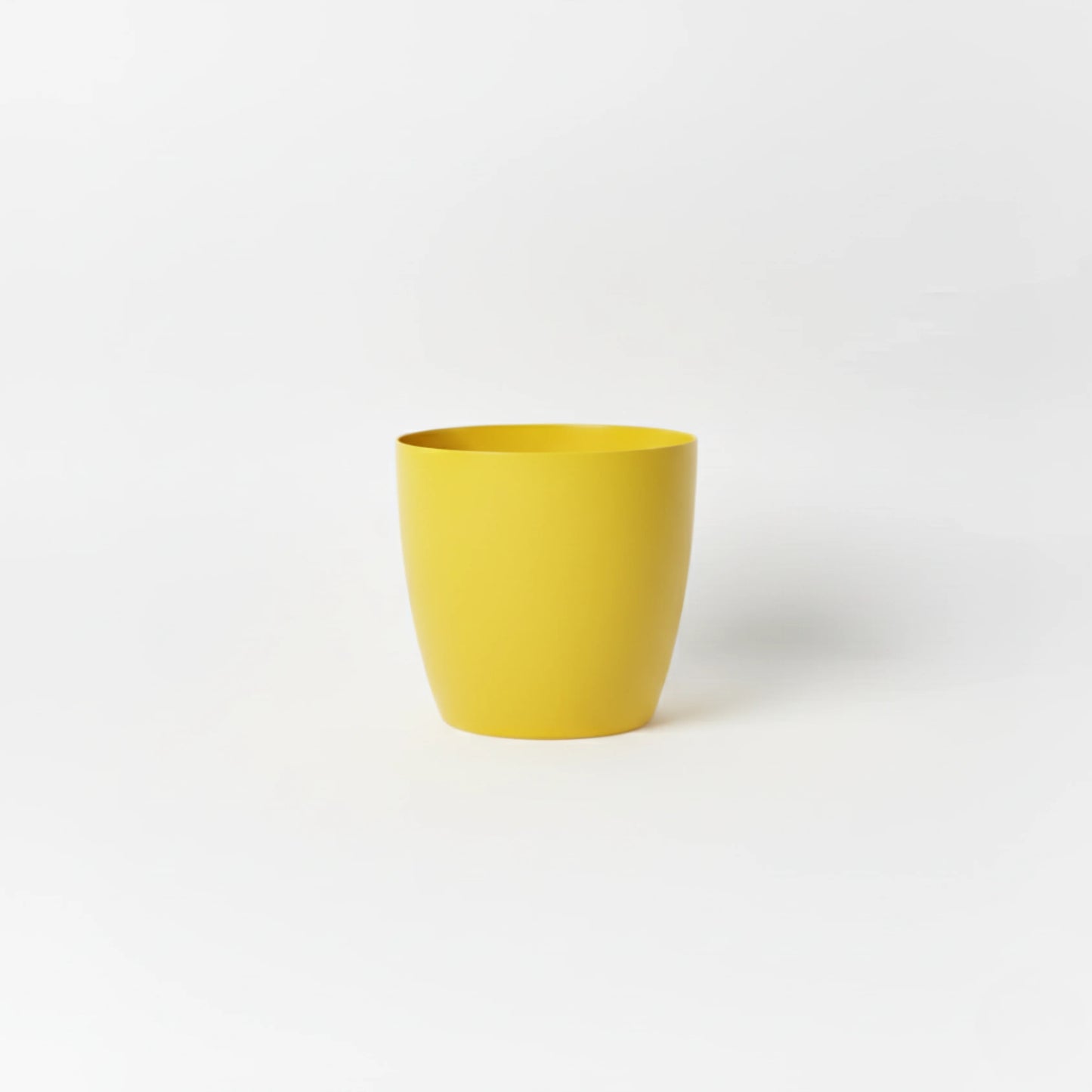 Stria Small