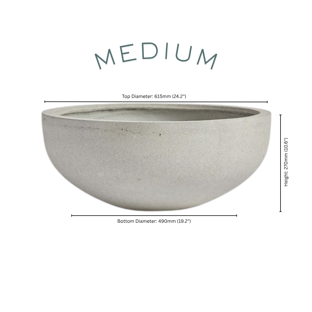 Crescent Medium