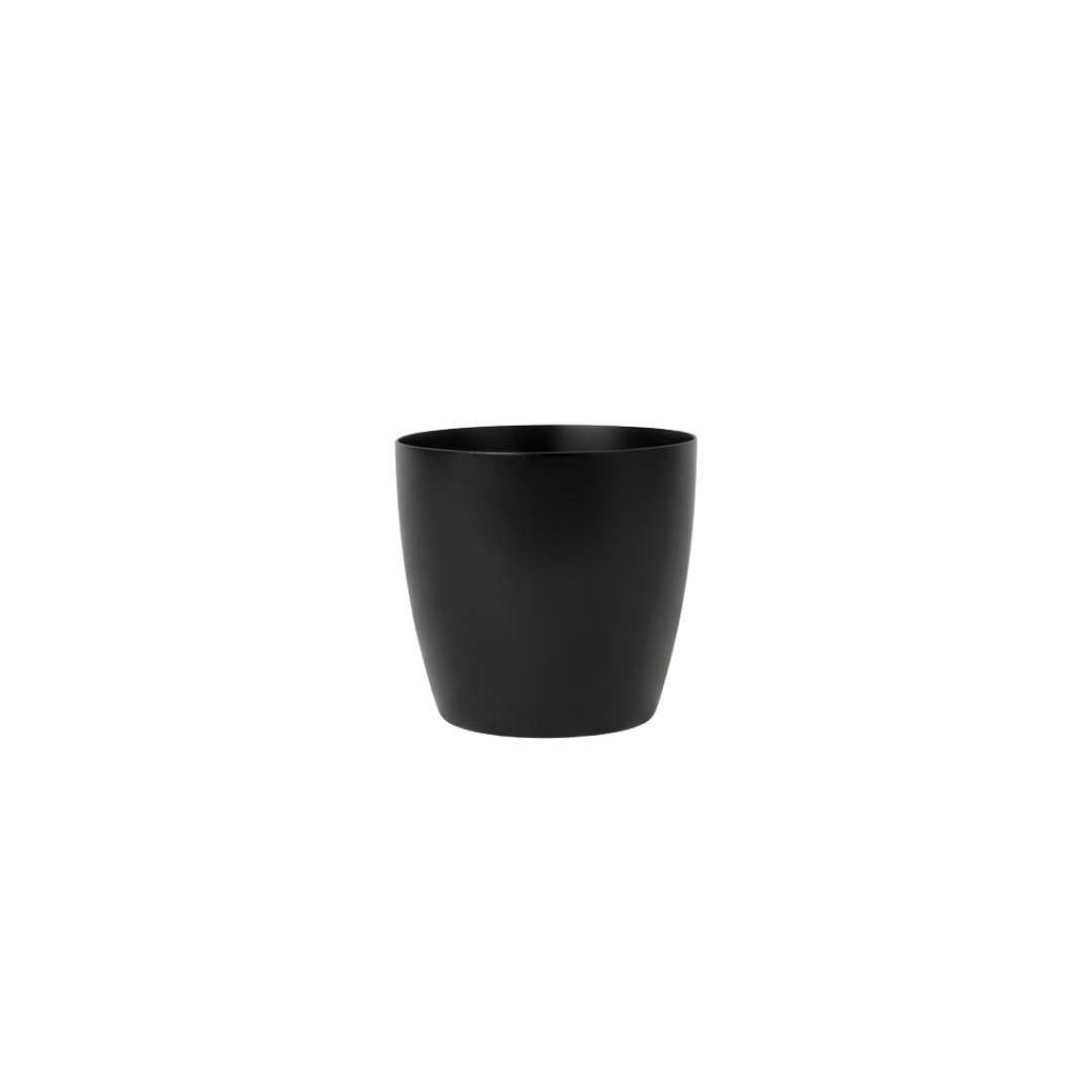 Stria Small