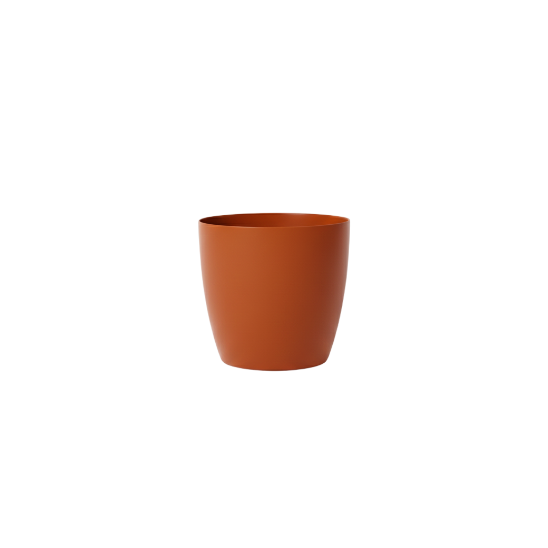 Stria Small