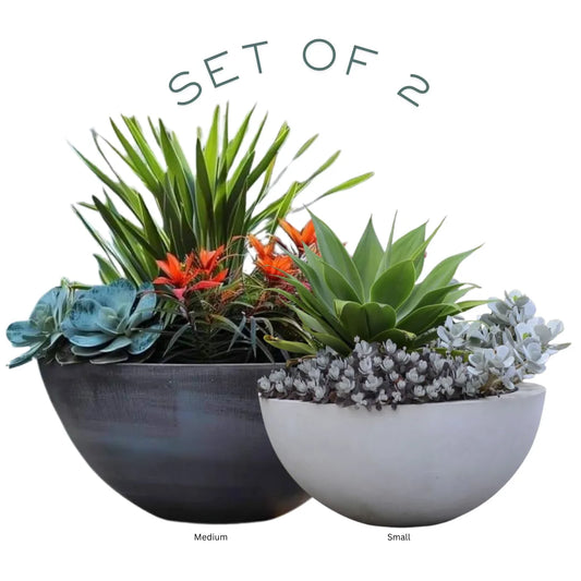 Crescent Planter Set of 2