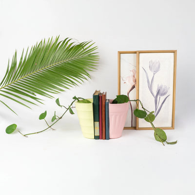 DuoNest Planter