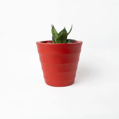 Groove Planter
