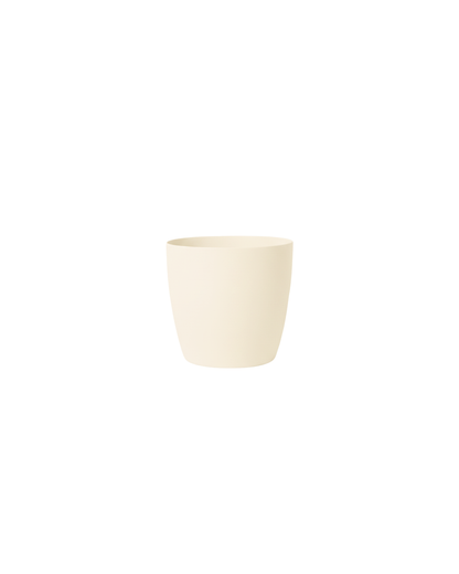 Stria Small
