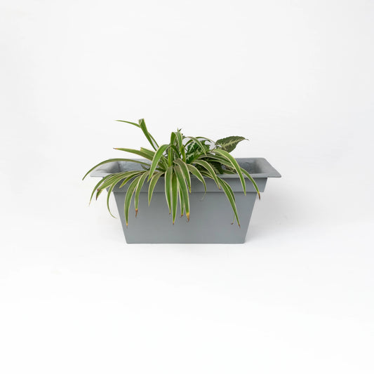 Lume Planter (without Border)