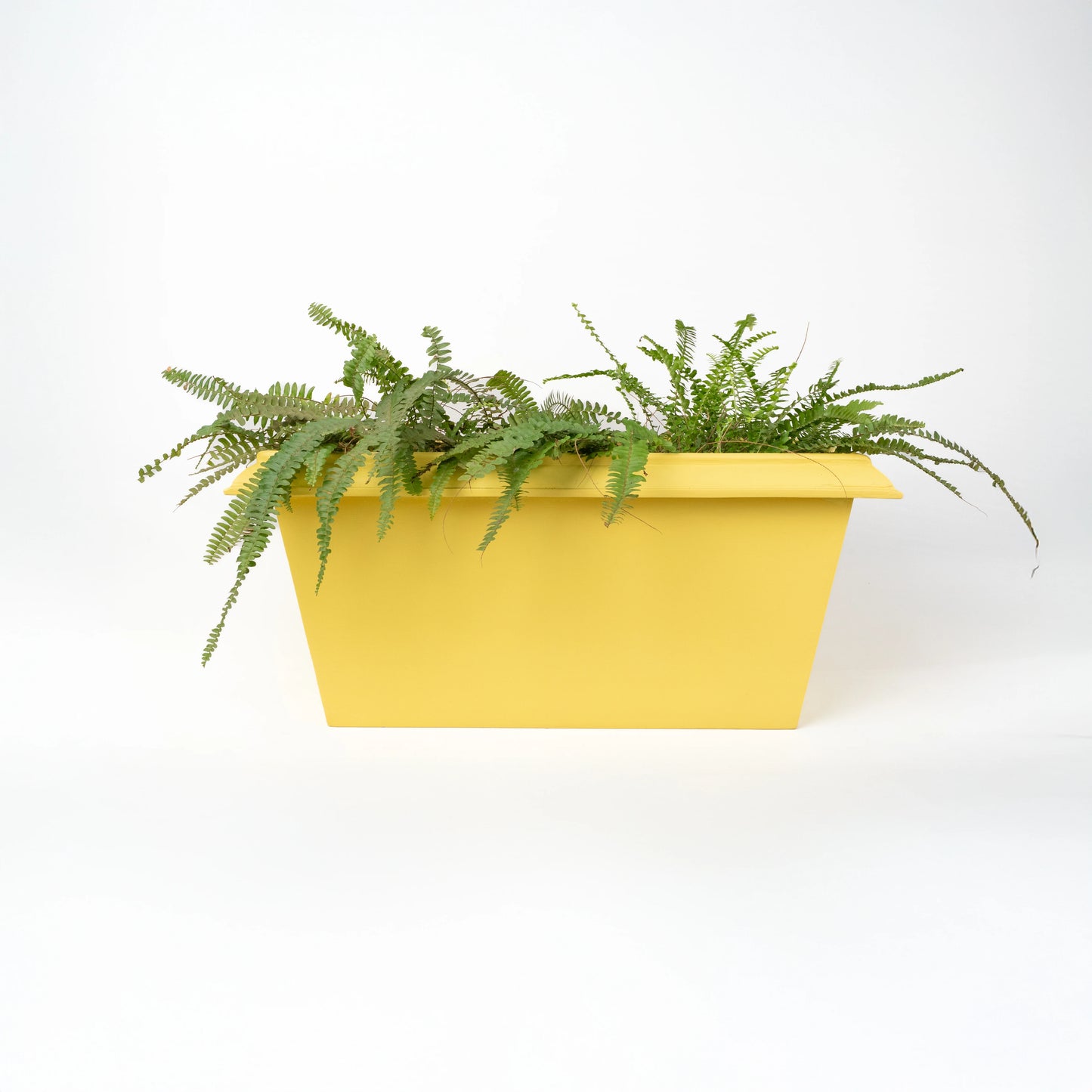 Lume Edged Set of 3 Planters