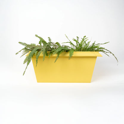 Lume Edged Set of 3 Planters