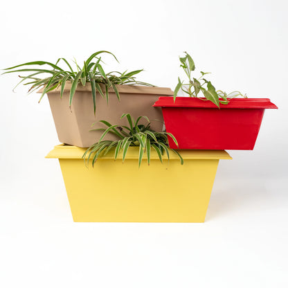 Lume Edged Set of 3 Planters