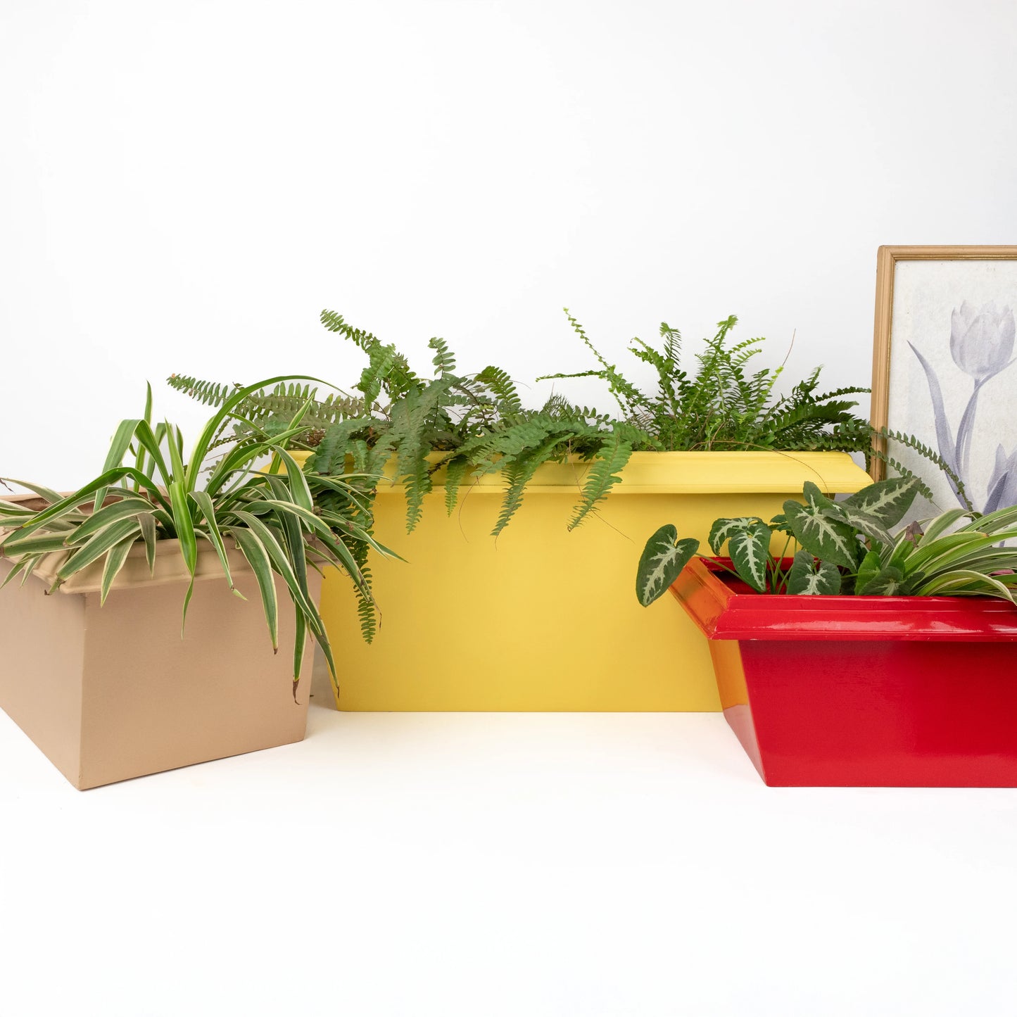Lume Edged Set of 3 Planters