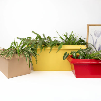 Lume Edged Set of 3 Planters