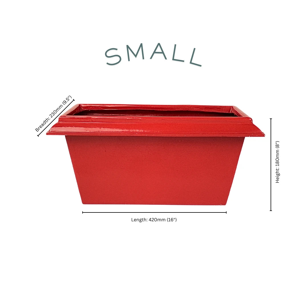 Lume Edged Small