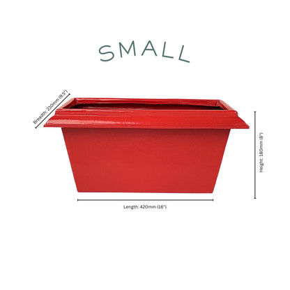 Lume Edged Small