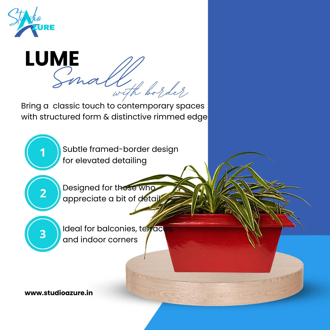 Lume Edged Small