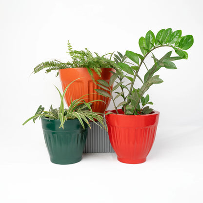 Mesa Set of 3 Planters
