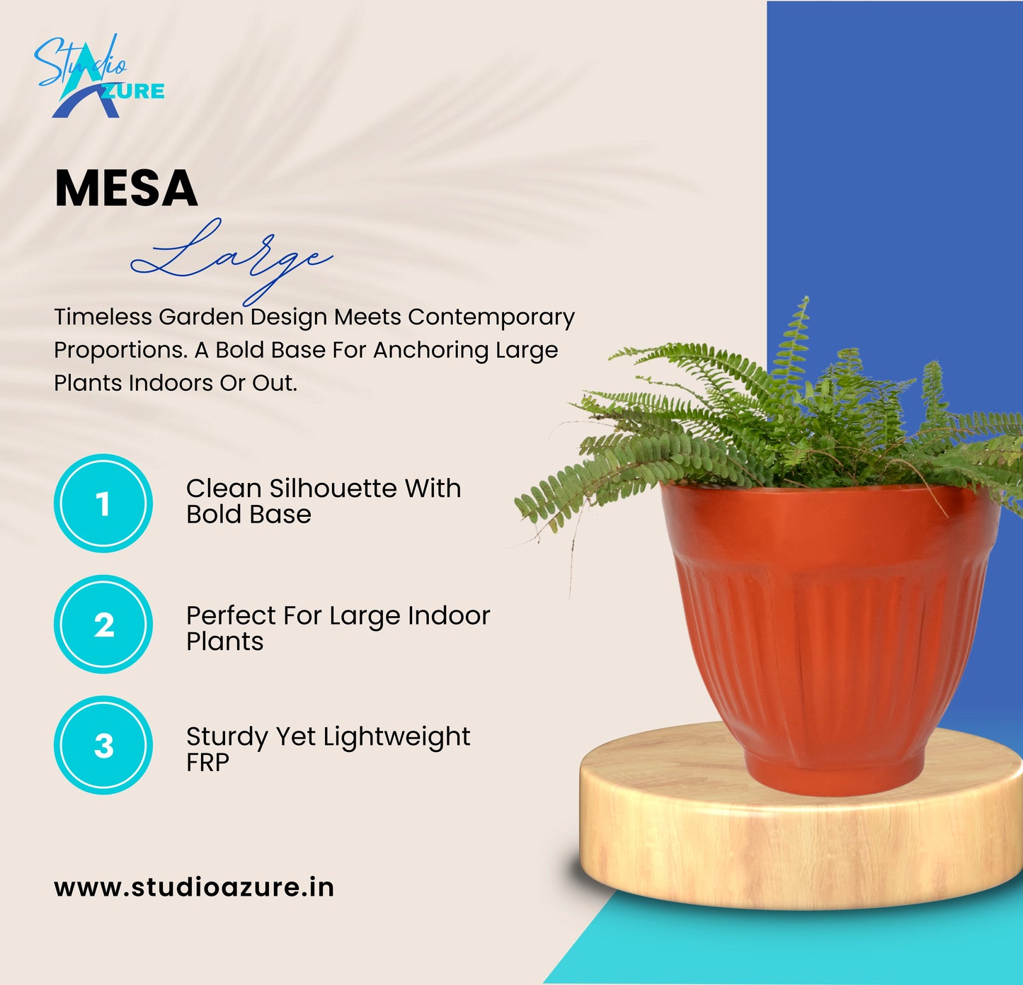 Mesa Large