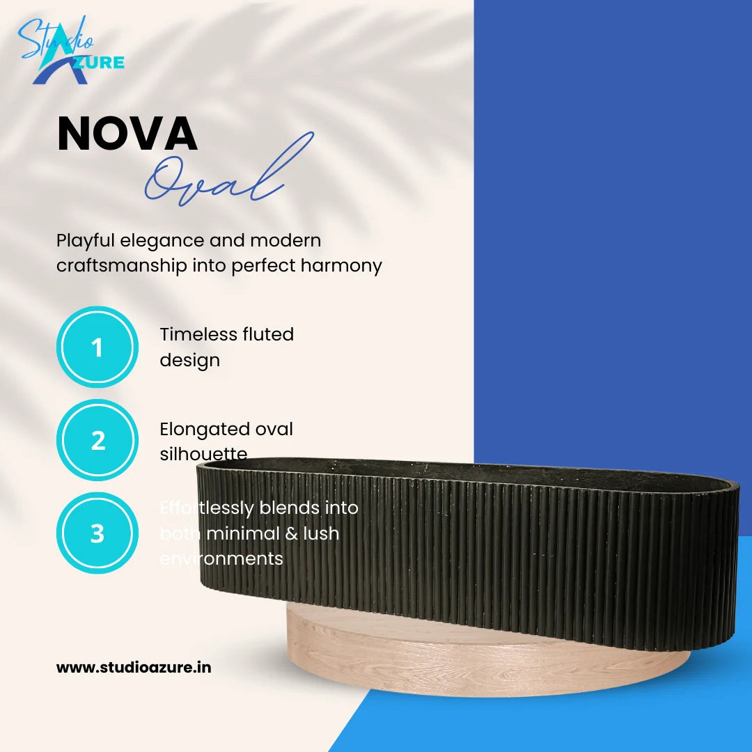 Noval Oval Large
