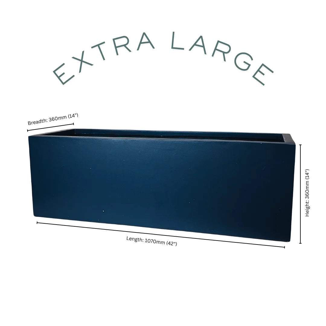 Sage Extra Large
