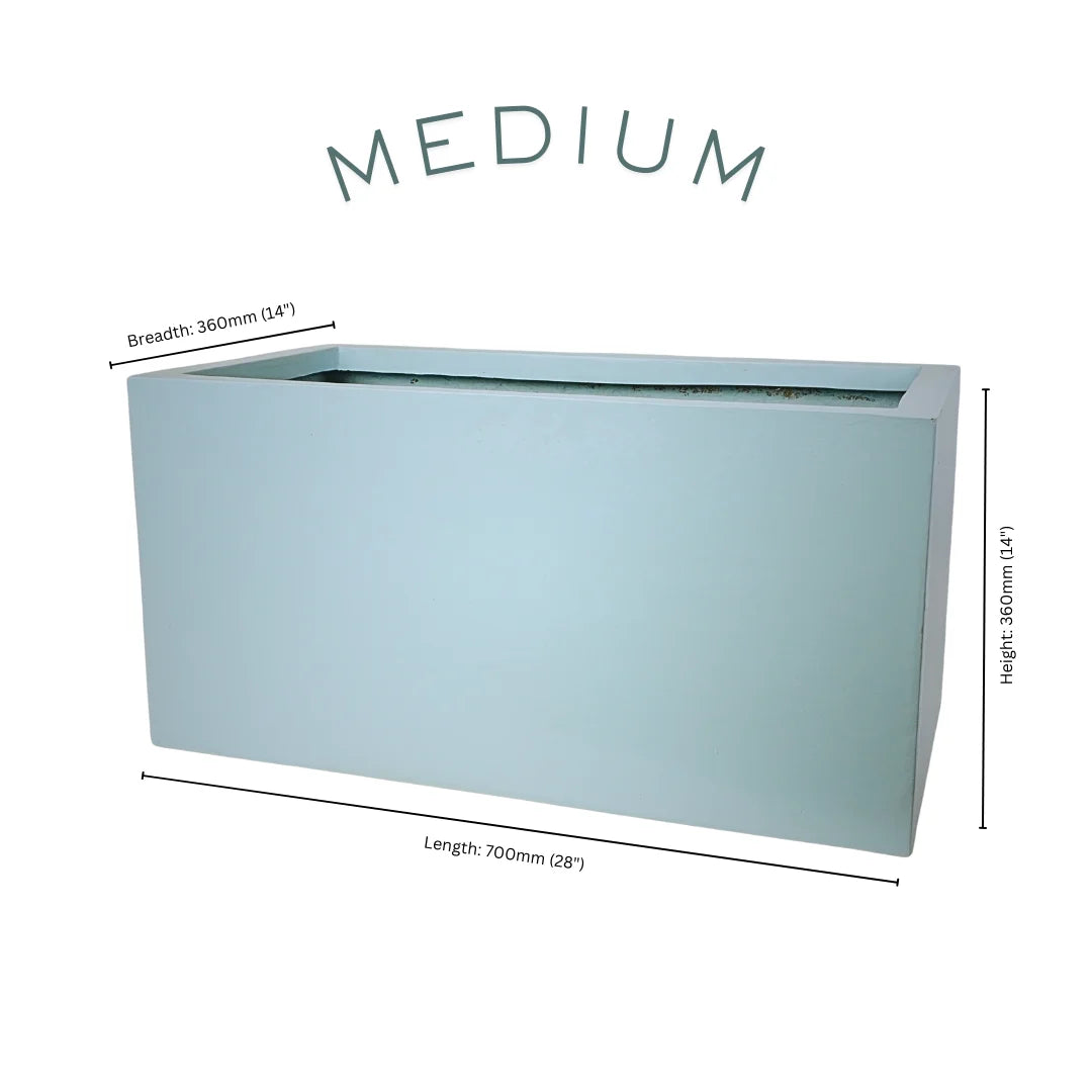 Sage Medium