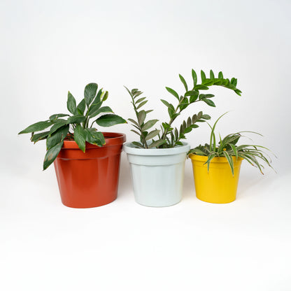 Sienna Set of 4 Planters