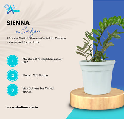 Sienna Large