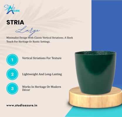 Stria Large