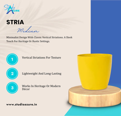 Stria Medium