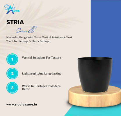 Stria Small