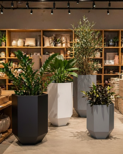 Astra Set of 4 Planters