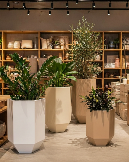 Astra Set of 4 Planters