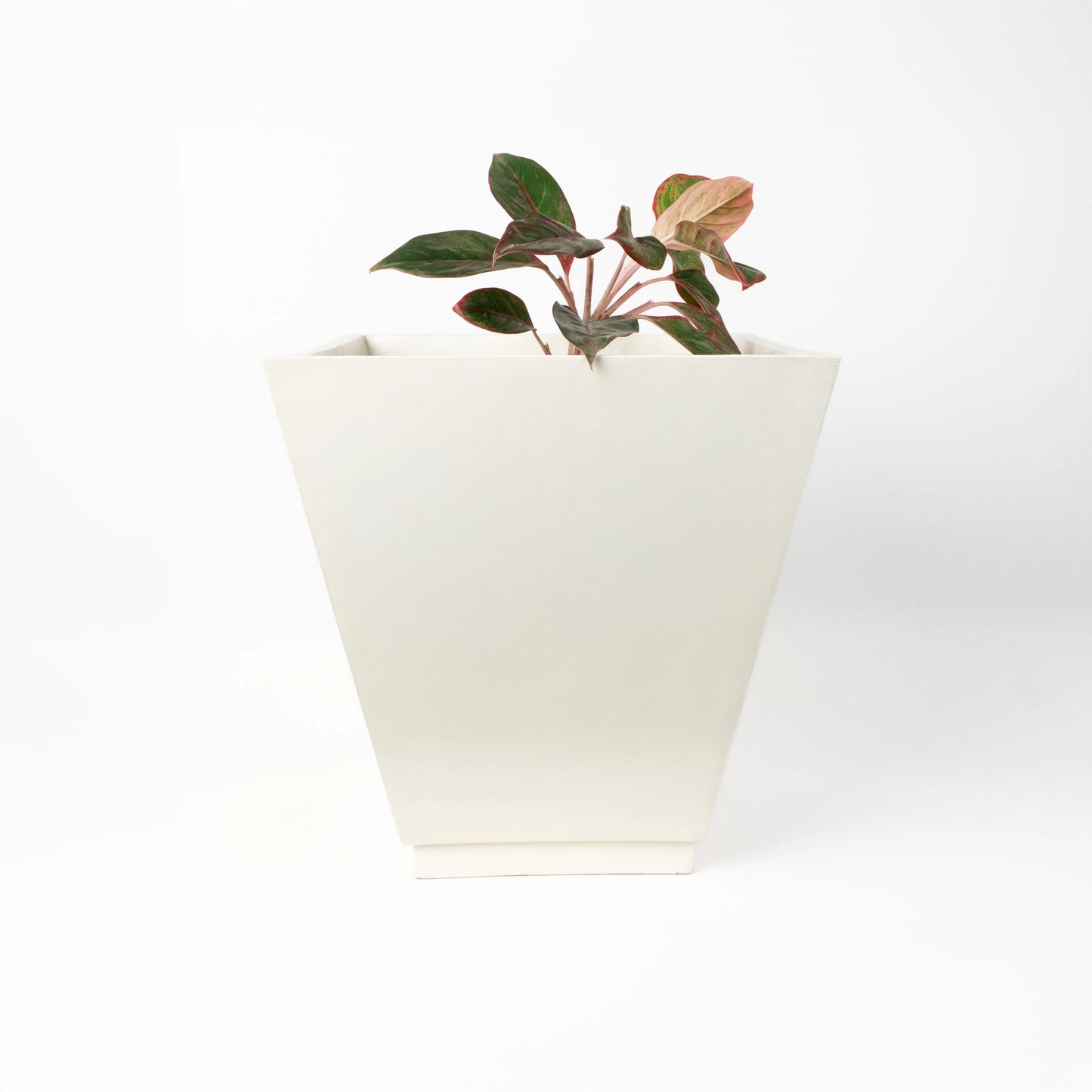 Vera Medium