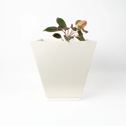 Vera Medium