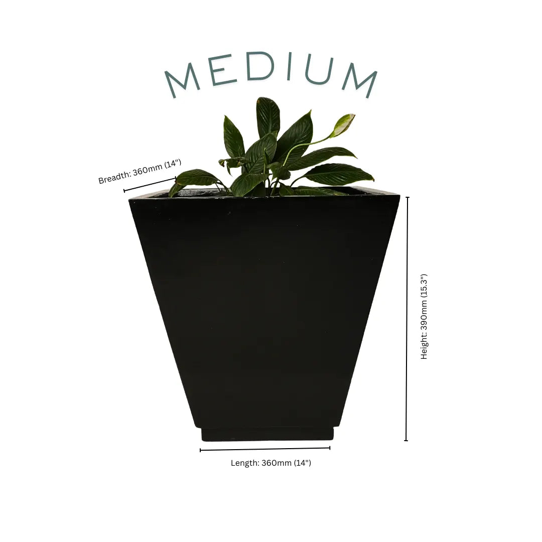 Vera Medium