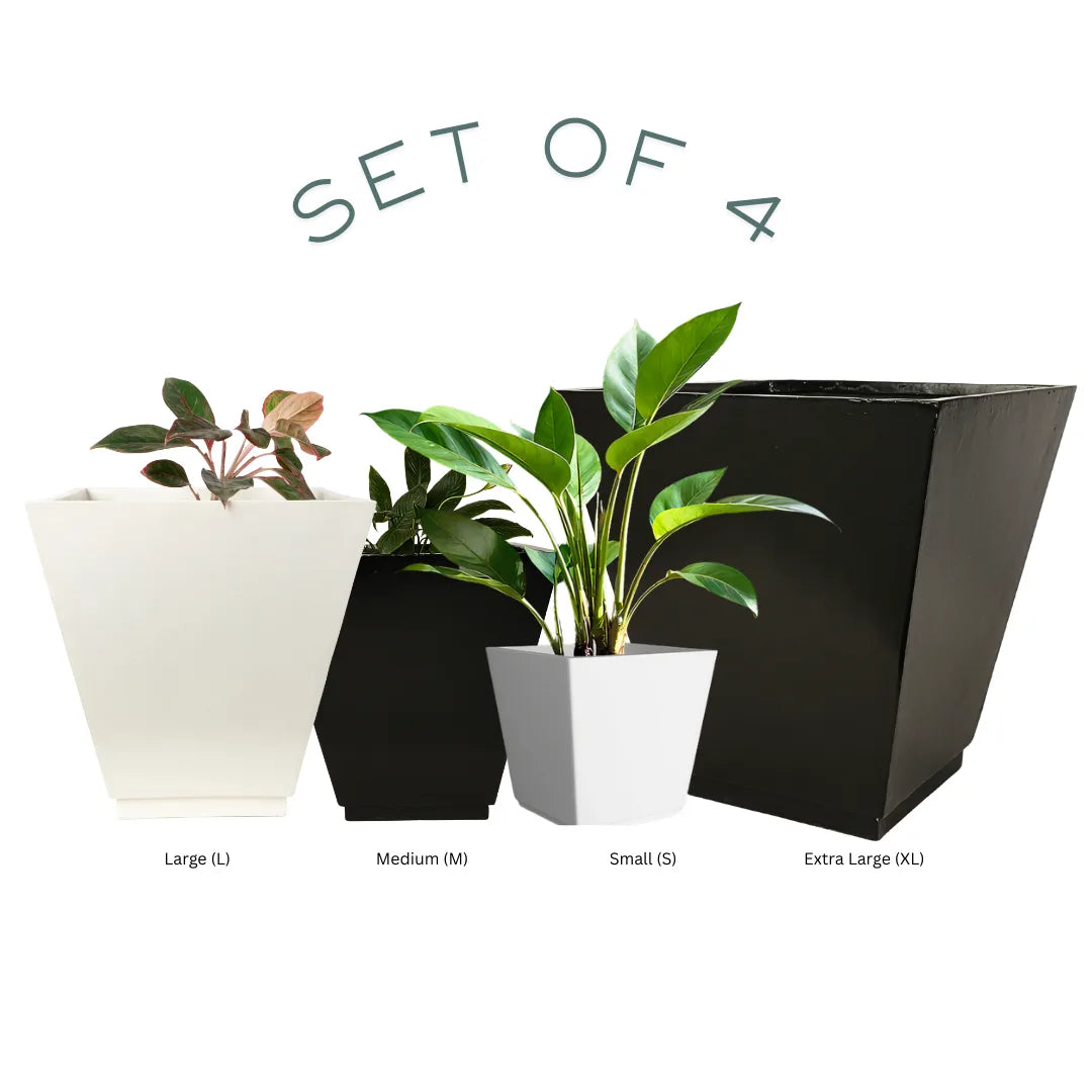 Vera Set of 4 Planters