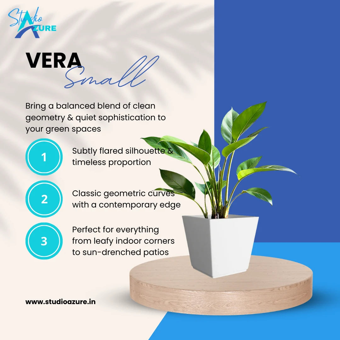 Vera Small