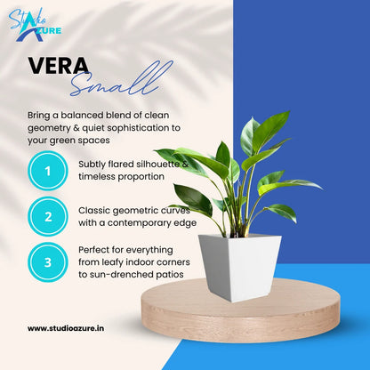 Vera Small