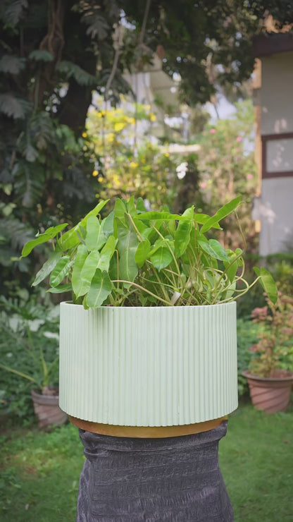 Nova Sphere Set of 4 (Large Planter with Base)